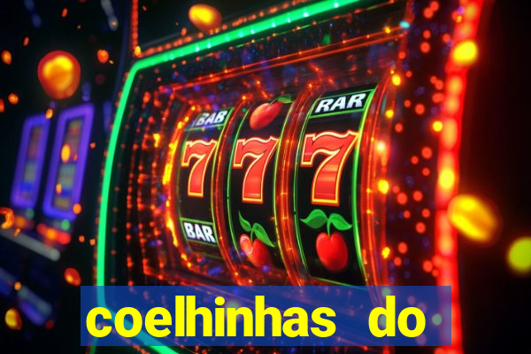 coelhinhas do brasil recife